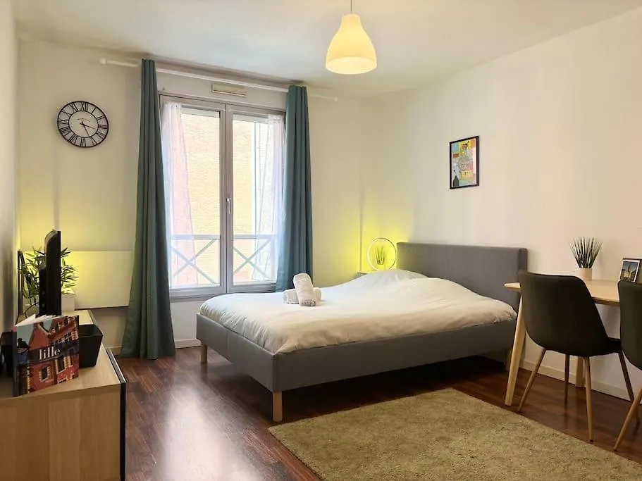 Appartement En Hyper-Centre De 里尔